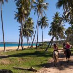 Muzyczne podróże. Dominikana / Klaudia Kimmel