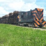 Muzyczne podróże. Dominikana / Klaudia Kimmel