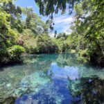 Muzyczne podróże. Dominikana / Klaudia Kimmel