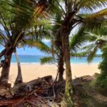 Muzyczne podróże. Dominikana / Klaudia Kimmel