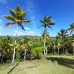 Muzyczne podróże. Dominikana / Klaudia Kimmel