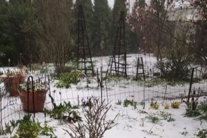 Ewa Kielasińska / Storm Chasers Świętokrzyskie - Pogoda i Atmosfera