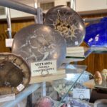 09.04.2022. Kielce. Giełdy Minerałów, Skamieniałości i Wyrobów Jubilerskich / Michał Kita / Radio Kielce