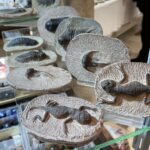 09.04.2022. Kielce. Giełdy Minerałów, Skamieniałości i Wyrobów Jubilerskich / Michał Kita / Radio Kielce