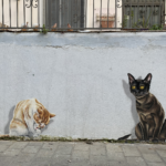 Muzyczne podróże. Izrael / Jakub Juszyński