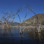 Muzyczne podróże. Dominikana / Klaudia Kimmel