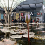 Muzyczne podróże. Izrael / Jakub Juszyński