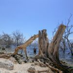 Muzyczne podróże. Dominikana / Klaudia Kimmel