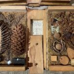 02.04.2022. Sandomierz. Kolekcja Muzeum Diecezjalnego / Grażyna Szlęzak-Wójcik / Radio Kielce