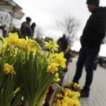 10.04.2022. Kielce. Plac Targowy przy ulicy Seminaryjskiej - Niedziela Palmowa / Jarosław Kubalski / Radio Kielce