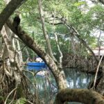 Muzyczne podróże. Dominikana / Klaudia Kimmel