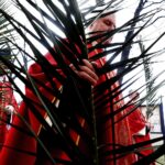 10.04.22022 Kielce. Niedziela Palmowa / Jarosław Kubalski / Radio Kielce