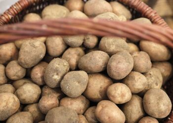 Ziemniaki faszerowane dziczyzną i grzybami