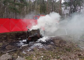 wypadek / KP PSP w Radzyniu Podlaskim