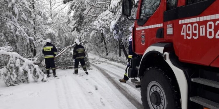 02.04.2022. Brody. Interwencja strażaków / OSP Starachowice