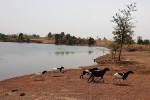 Burkina Faso / Robert Rient