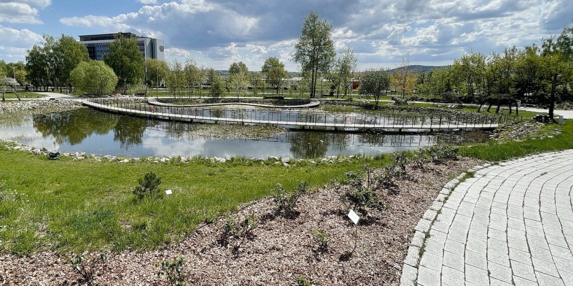 Kielce. Ogród Botaniczny (08.05.2022) / Fot. Wiktor Taszłow - Radio Kielce