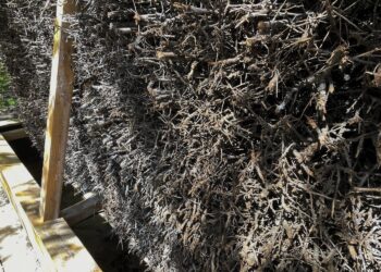 Mini tężnia w Działoszycach? Samorząd ma ambitne plany - Radio Kielce Mini tężnia w Działoszycach? Samorząd ma ambitne plany