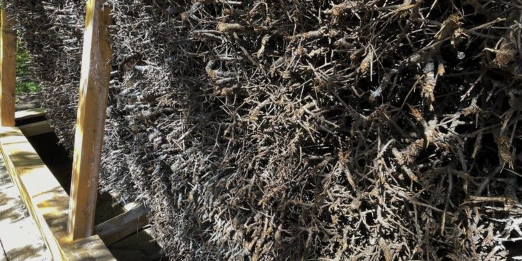 Mini tężnia w Działoszycach? Samorząd ma ambitne plany