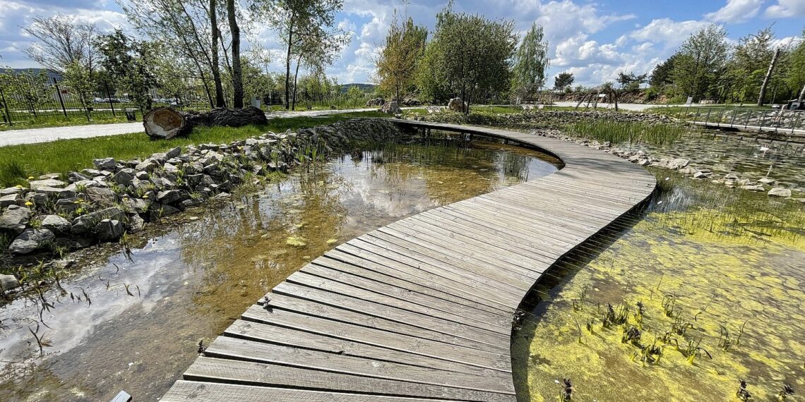 Kielce. Ogród Botaniczny (08.05.2022) / Fot. Wiktor Taszłow - Radio Kielce