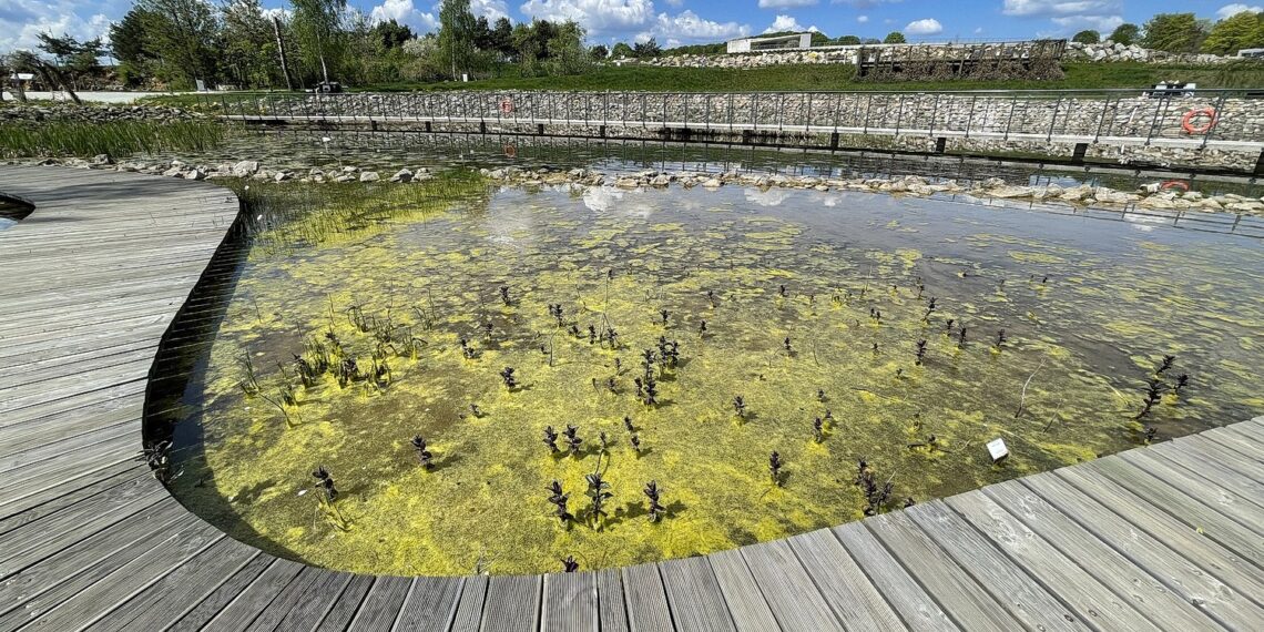 Kielce. Ogród Botaniczny (08.05.2022) / Fot. Wiktor Taszłow - Radio Kielce