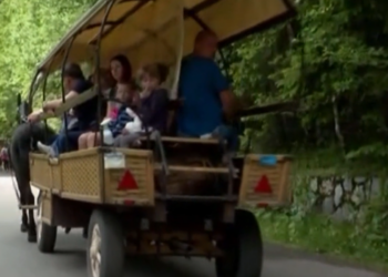 Trasa do Morskie Oko. Na zdjęciu: hybrydowy wóz konny / kraków.tvp.pl