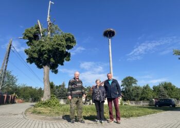 26.05.2022. Nietulisko Duże. Mieszkańcy w okolicy bocianiego gniazda. Na zdjęciu (od lewej): Gabriel Tomczyk, Leokadia Gilewska i Henryk Jabłoński - sołtys wsi / Emilia Sitarska / Radio Kielce