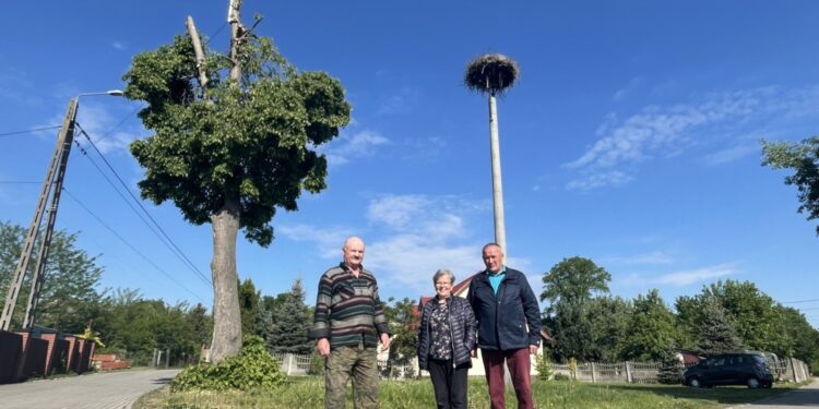 26.05.2022. Nietulisko Duże. Mieszkańcy w okolicy bocianiego gniazda. Na zdjęciu (od lewej): Gabriel Tomczyk, Leokadia Gilewska i Henryk Jabłoński - sołtys wsi / Emilia Sitarska / Radio Kielce