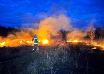 pożar traw / OSP KSRG Piekoszów