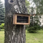 08.06.2022. Sandomierz. Ogród przy Collegium Gostomianum / Grażyna Szlęzak / Radio Kielce