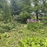 08.06.2022. Sandomierz. Ogród przy Collegium Gostomianum / Grażyna Szlęzak / Radio Kielce