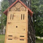 08.06.2022. Sandomierz. Ogród przy Collegium Gostomianum / Grażyna Szlęzak / Radio Kielce