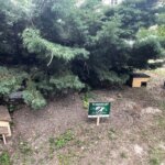 08.06.2022. Sandomierz. Ogród przy Collegium Gostomianum / Grażyna Szlęzak / Radio Kielce