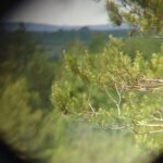 01.06.2022. Jaworznia. Otwarcie ścieżek dydaktycznych / Bartosz Bogucki / Radio Kielce