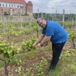 04.06.2022. Sandomierz. Winnica ojców dominikanów. Na zdjęciu: o. Marcin Lisak - przeor klasztoru ojców dominikanów w Sandomierzu / Grażyna Szlęzak / Radio Kielce