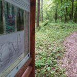 01.06.2022. Jaworznia. Otwarcie ścieżek dydaktycznych / Bartosz Bogucki / Radio Kielce