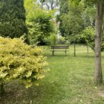 08.06.2022. Sandomierz. Ogród przy Collegium Gostomianum / Grażyna Szlęzak / Radio Kielce