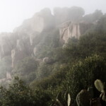 25.06.2022. Muzyczne podróże. Debre Bizen / Fot. Dariusz J. Drajewicz