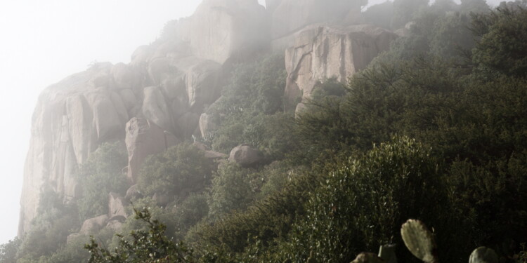 25.06.2022. Muzyczne podróże. Debre Bizen / Fot. Dariusz J. Drajewicz