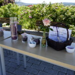 26.06.2022. Kielce. Ogród botaniczny. III Festiwal Róż