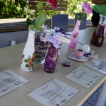 Kielczanie są zachwyceni ukwieconym ogrodem botanicznym - Radio Kielce