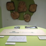 24.06.2022. Kielce. Instytut Dizajnu. Wystawa "Alina Scholtz. Pionierka architektury krajobrazu" / Fot. Wiktor Taszłow - Radio Kielce