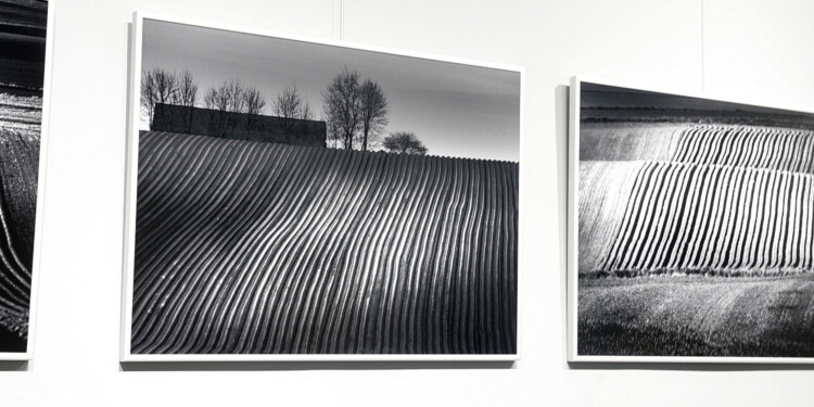 23.06.2022 Kielce. Galeria U Strasza. Wernisaż wystawy Tomasza Batora "Terra" / Fot. Jarosław Kubalski - Radio Kielce