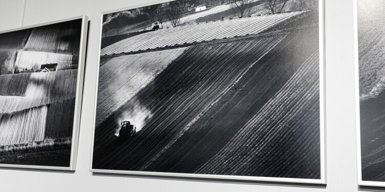 23.06.2022 Kielce. Galeria U Strasza. Wernisaż wystawy Tomasza Batora "Terra" / Fot. Jarosław Kubalski - Radio Kielce