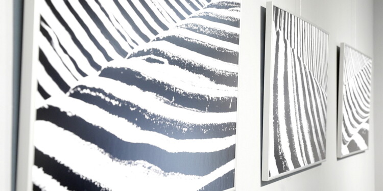 23.06.2022 Kielce. Galeria U Strasza. Wernisaż wystawy Tomasza Batora "Terra" / Fot. Jarosław Kubalski - Radio Kielce