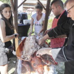 26.06.2022. Tokarnia. Ogólnopolski Festiwal Kultury Ludowej „Jawor u źródeł kultury” / Fot. Jarosław Kubalski – Radio Kielce