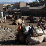 25.06.2022. Muzyczne podróże. Keren / Fot. Dariusz J. Drajewicz