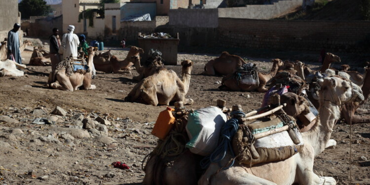 25.06.2022. Muzyczne podróże. Keren / Fot. Dariusz J. Drajewicz
