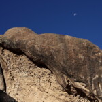 25.06.2022. Muzyczne podróże. Senafe / Fot. Dariusz J. Drajewicz