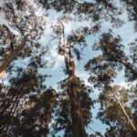 Australia / Julia i Sam Gospo